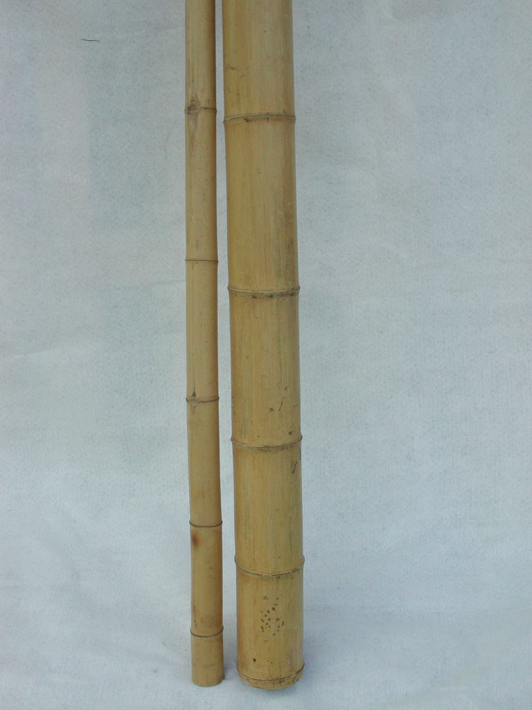 Dekorationsbambu 305 cm 100-110mm (5-p)